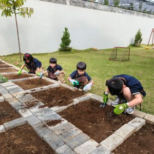 Students Cultivate Learning Through Gardening