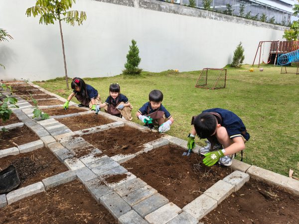 Students Cultivate Learning Through Gardening